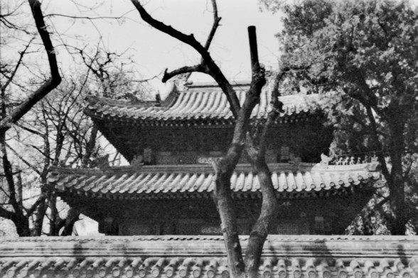 **English:**
A black and white photograph of a traditional Chinese building with a tiled roof, partially obscured by bare tree branches. The building features multiple layers of roofing with upturned eaves, typical of classical Chinese architecture. The trees in the foreground are without leaves, suggesting it might be autumn or winter. The overall scene conveys a sense of tranquility and historical significance.

**Chinese:**
一张黑白照片，展示了一座带有瓦片屋顶的中国传统建筑，部分被光秃秃的树枝遮挡。这座建筑有多层屋顶，屋檐上翘，是中国古典建筑的典型特征。前景…