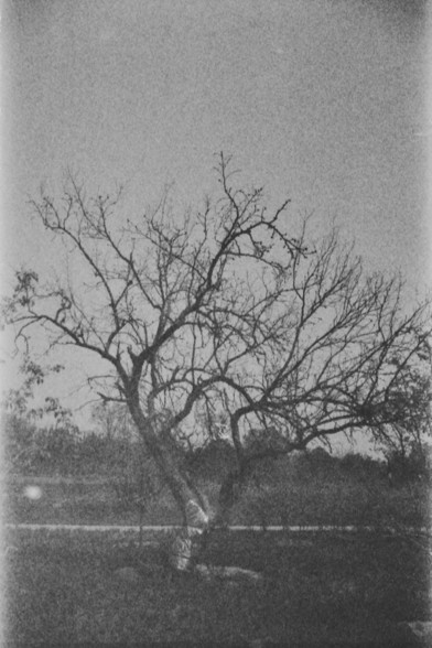 **English:**
A black and white photograph of a solitary, leafless tree standing in an open field. The tree has a slightly bent trunk and sprawling branches that extend outward. The background features a faint horizon line with some distant trees and a clear sky.

**Chinese:**
一张黑白照片，展示了一棵孤独的、没有叶子的树站立在开阔的田野中。这棵树的树干略微弯曲，枝条向外延伸。背景中有一条模糊的地平线，远处有一些树木和清晰的天空。