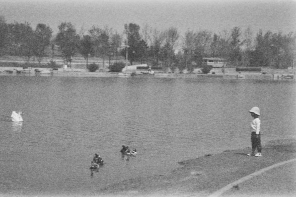 **English:**
A black-and-white photograph of a child standing at the edge of a body of water, possibly a lake or pond. The child is wearing a hat and looking towards the water. In the water, there are a few ducks swimming. In the background, there are trees and some vehicles parked along the shore.

**Chinese:**
一个黑白照片，展示一个戴帽子的孩子站在水边，可能是湖泊或池塘。孩子正望向水面。水中有几只鸭子在游泳。背景中有树木和一些停靠在岸边的车辆。