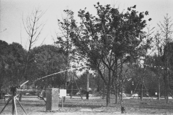 **English:**
A black-and-white photograph of a park or forested area with several trees. There are some structures in the foreground, possibly part of a playground or park equipment. The trees are tall and some appear to be evergreen.

**Chinese:**
一个黑白照片，展示一个公园或森林区域，有几棵树木。前景中有一些结构，可能是游乐场或公园设施的一部分。树木高大，其中一些看起来是常青树。