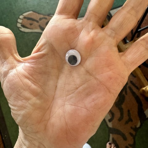 iPhone photo of my hand holding a random plastic googly eye that I found on my desk, there’s a dark green carpet with a tiger print in the background