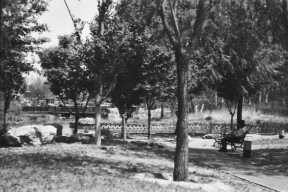 Ilford FP4 @ ISO 80

**English:**
This black and white image depicts a tranquil park scene. Tall trees line a pathway that meanders through the park, providing shade and a sense of serenity. Benches are placed along the path, inviting visitors to sit and enjoy the peaceful surroundings. The park appears well-maintained, with neatly trimmed grass and a few scattered rocks. The overall atmosphere is calm and inviting, making it an ideal place for relaxation and contemplation.

**Chinese:**
这张黑白照片…