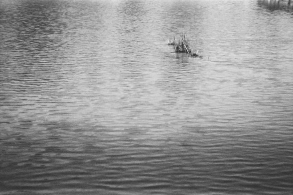 Ilford FP4 @ ISO 80

**English:**
This black and white photograph captures a serene body of water, possibly a lake or a pond. The water surface is calm, with gentle ripples reflecting the light. In the center of the image, a small patch of reeds or aquatic plants emerges from the water, adding a touch of natural beauty to the scene. The simplicity and tranquility of the image evoke a sense of peace and solitude.

**Chinese:**
这张黑白照片拍摄了一片宁静的水域，可能是一个湖泊或池塘。水面平静，轻柔的涟漪反射着光线。在画面中央，一小片芦苇或水生植物从水中浮现，为景色…