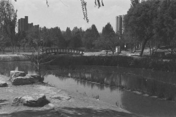 Ilford FP4 @ ISO 80

**English:**
A black and white photograph capturing a scenic view of a park with a small bridge over a pond. The pond is surrounded by lush vegetation and trees, creating a peaceful atmosphere. In the background, tall buildings rise above the treeline, contrasting with the natural setting of the park. The bridge adds a charming element to the scene, inviting viewers to imagine crossing it and exploring the park further.

**Chinese:**
一张黑白照片，捕捉到公园中带有小桥的池塘的美景。池塘周围环绕着茂密的植被和树木，…