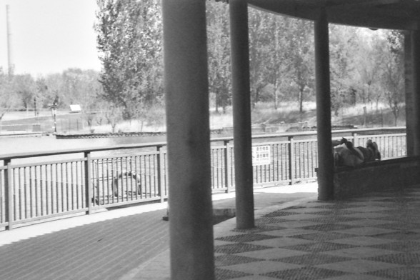 Ilford FP4 @ ISO 80

**English:**
This black-and-white photograph captures a serene scene at what appears to be a riverside or lakeside walkway. The walkway is covered and supported by large pillars. A person is  lying on a bench to the right. The railing along the walkway provides safety and a place to lean. Trees line the opposite bank, and the water is calm, reflecting the peacefulness of the scene.

**Chinese:**
这张黑白照片捕捉到了一个宁静的河边或湖边步道场景。步道有顶棚，由大柱子支撑。右边有个人躺在长椅上。步道上的栏杆提供了安全和依靠的地方。对岸种满了树木，水面平静…