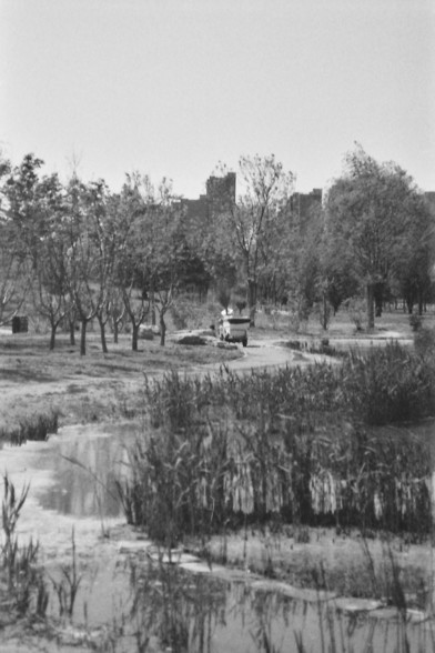 Ilford FP4 @ ISO 64

**English:**
This black and white photograph captures a serene park scene. In the foreground, there is a body of water bordered by tall grasses and reeds. A winding path meanders through the park, lined with trees on either side. In the distance, a person can be seen along the path. The background features a faint outline of buildings, suggesting the park is located within an urban area.

**Chinese:**
这张黑白照片展现了一个宁静的公园场景。前景是一片被高高的草和芦苇环绕的水域。一条蜿蜒的小路穿过公园，两旁种满了树木。远处，可以看到一个人正沿着小路…
