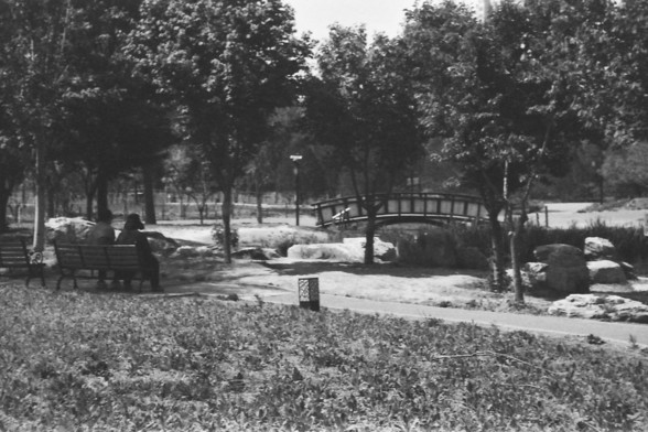 Ilford FP4 @ ISO 64

**English:**
This black and white image depicts a tranquil park setting with a couple sitting on a bench in the foreground. The park is lush with trees and greenery, and a small bridge can be seen in the background. The scene is peaceful, with the couple seemingly enjoying the natural surroundings. The pathway and the bridge add to the charm of the park.

**Chinese:**
这张黑白照片描绘了一个宁静的公园场景，前景中一对情侣坐在长椅上。公园里绿树成荫，植被茂盛，背景中可以看到一座小桥。场景宁静祥和，这对情侣似乎在享受周围的自然环境。小路和桥梁为公园增添了魅力。