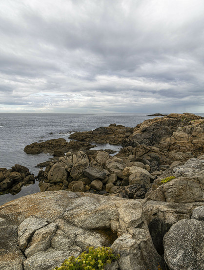 It's a moody, overcast day, but it feels warm and the layers of bubbling grey cloud overhead are thin with the hope that they might burn off. We're standing on a shoreline looking out to a flat, grey sea. The shore is rocky with warm-toned boulders, huge and smoother near us but becoming more craggy as this small promontory pokes out into the water. A couple of small, natural bays have formed in the gaps between some of the masses of rocks a little further out from us and the rock colour is darker there, likely because it's most often battered by waves when the wind is up. At our feet and on some boulders just beyond there are small growths of plant life, low, sprouting from cracks in the rocky surfaces, tightly-packed greenery with small yellow flowering tips. It feels pleasant here with no wind and only the lapping sound of the small motion of the water interacting with the rocks around.