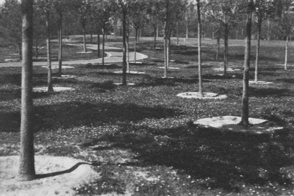 Ilford FP4 @ ISO 64

**English:**
This black-and-white image shows a grove of young trees planted in a grid-like pattern. Each tree is surrounded by a circular patch of mulch or soil, and the trees are evenly spaced. A winding path can be seen meandering through the grove, suggesting a landscaped or managed forest area.

**Chinese:**
这张黑白照片展示了一片按网格模式种植的幼树林。每棵树周围都有一圈覆盖物或土壤，树木间距均匀。一条蜿蜒的小路穿过树林，暗示着一个经过景观设计或管理的森林区域。
