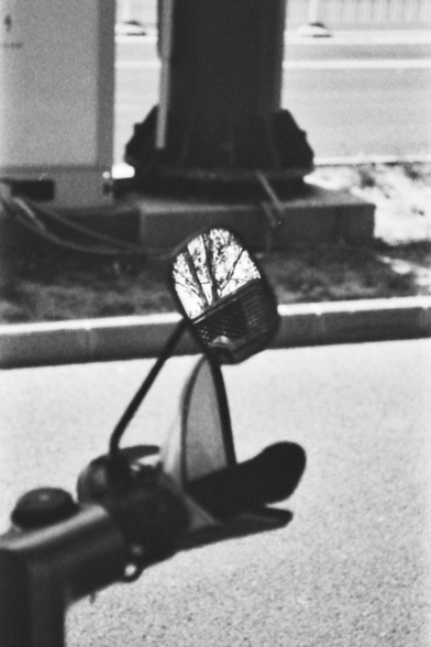 Ilford FP4 @ ISO 64

**English:**
A black and white photograph showing a close-up of a motorcycle's side mirror. The mirror reflects an image of a tree, creating a contrast between the mechanical object and the natural scenery. The background is slightly out of focus, highlighting the mirror and its reflection.

**Chinese:**
一张黑白照片，特写展示了一辆摩托车的侧视镜。镜子中反射出一棵树的影像，形成机械物体与自然景观的对比。背景略微模糊，突出了镜子及其反射的影像。