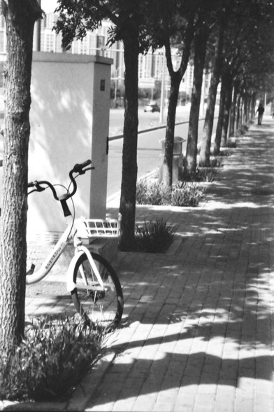 Ilford FP4 @ ISO 64

**English:**
A black and white photograph of a quiet urban street scene. A bicycle is parked and leaning against a tree on the left side of the image. The sidewalk is lined with evenly spaced trees, casting shadows on the ground. There is trash box in the background, and the street appears calm with no visible vehicles.

**Chinese:**
一张黑白照片，展示了宁静的城市街道场景。一辆自行车停靠在左侧，斜靠在一棵树上。人行道两旁种植着等距排列的树木，树影斑驳地投射在地面上。背景中有一个垃圾桶箱，街道看起来很安静，没有车辆。
