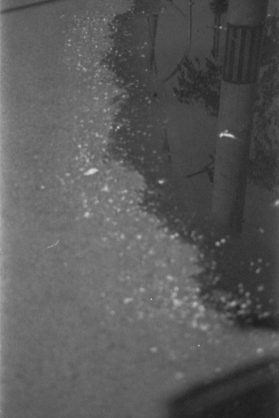 Ilford FP4 E.I. 64

**Alt text in English:** A black and white photograph of a puddle on a paved surface. The puddle reflects a utility pole along with some surrounding trees or foliage. The reflection appears slightly distorted due to ripples and debris in the water.

**Alt text in Chinese:** 一张黑白照片，显示在铺砌地面上的水坑。水坑倒映出一根电线杆以及一些周围的树木或植物。由于水面的波纹和碎屑，倒影看起来有些扭曲。