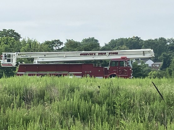 A vintage red fire truck with an extended ladder is parked in a grassy area, surrounded by trees. The truck has "Greever's Drug Store" written on its side.