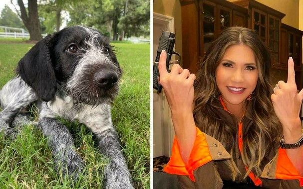 Trump’s running mate contender defends decision to shoot dead her pet dog

https://www.yahoo.com/news/trump-running-mate-contender-defends-171411653.html