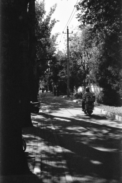 Ilford FP4 E.I. 64

**English:**
This black-and-white photograph depicts a tranquil scene in what appears to be a park or a tree-lined street. A person is riding a bicycle away from the camera down a paved path, surrounded by lush trees and greenery. The sunlight filters through the leaves, casting dappled shadows on the ground. The image evokes a sense of peace and leisurely activity in a natural setting.

**Chinese:**
这张黑白照片描绘了一个看似公园或绿树成荫的街道上的宁静场景。一个人正骑着自行车远离相机，沿着铺好的小路骑行，周围环绕着茂密的树木和绿地。阳光透过树叶，…