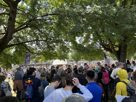 A large crowd covers Cal Anderson Park in Seattle - viewed from under large trees.