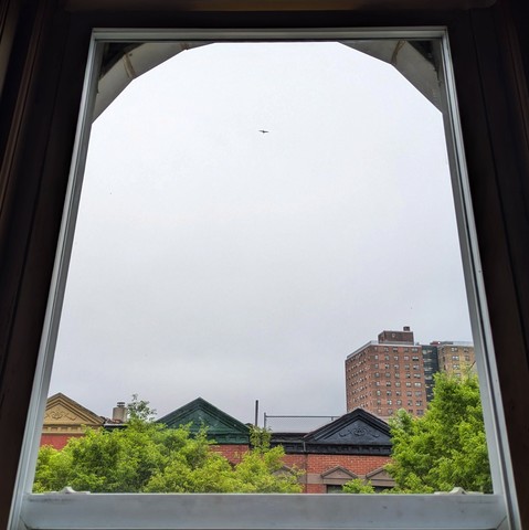 Looking through an arched window two-and-a-half hours after sunrise the sky is full of grey rain clouds. Pointed roofs of Harlem brownstones with red brickwork are across the street, and a taller apartment building can be seen in the distance. The green tops of two trees are on the bottom and right. A bird is flying by, just a speck in the top of the sky.