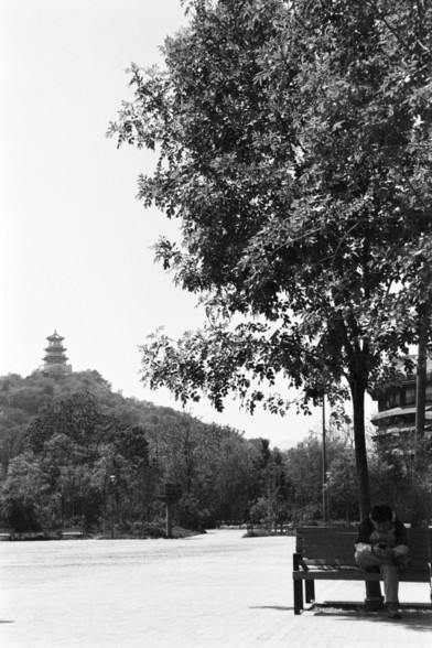 **English:**
A black and white photograph of a person sitting on a bench under a large tree. In the background, there is a pagoda on a hill, surrounded by lush trees. The setting suggests a tranquil and reflective moment in a scenic park or garden.

**Chinese:**
一张黑白照片，拍摄的是一个人坐在大树下的长椅上。背景中有一座位于小山上的宝塔，周围环绕着茂密的树木。场景暗示着在风景优美的公园或花园中一个宁静而沉思的时刻。