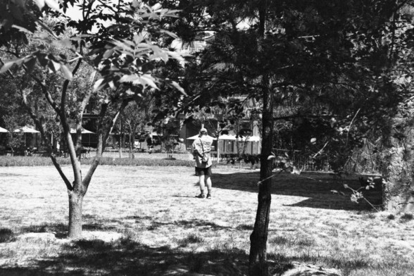 **English:**
A black and white photograph of a person walking through a park. The individual is wearing a backpack and a cap, and is surrounded by trees and greenery. The scene captures a serene and peaceful atmosphere with the person strolling along a path in the park.

**Chinese:**
一张黑白照片，拍摄的是一个人背着背包、戴着帽子在公园里散步。周围环绕着树木和绿地，场景展现出宁静祥和的氛围，这个人正沿着公园的小径漫步。