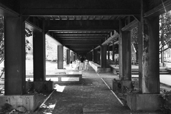 **English:**
This black-and-white image depicts a covered walkway or corridor with a series of evenly spaced columns supporting the roof. The perspective is from one end of the walkway, looking towards the other end where a few people can be seen walking. The walkway is paved and flanked by greenery on both sides, creating a serene and orderly atmosphere. The light filters through the structure, casting shadows and highlighting the architectural details.

**Chinese:**
这张黑白图片描绘了一个有顶棚的走廊或通道，一系列均匀…