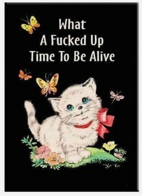 A whimsical vintage illustration featuring a cute white kitten with blue eyes and a red bow, surrounded by colorful butterflies and flowers. The text reads, "What A Fucked Up Time To Be Alive."