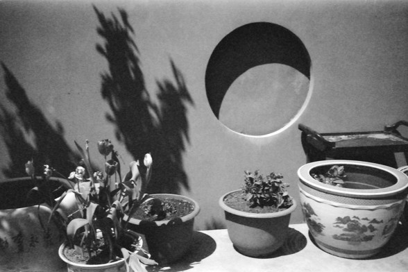 Ilford FP4 @ ISO 64

English alt text: Several potted plants, including tulips and leafy greens, are arranged on a surface against a wall. A circular cutout in the wall casts light and shadows, creating an artistic, serene atmosphere.

中文替代文字： 几个盆栽植物（包括郁金香和绿叶植物）整齐地摆放在一面墙前。墙上的圆形切口投射出光影，营造出一种艺术感和平静的氛围。