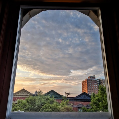 Looking through an arched window seventeen minutes after sunrise the light blue sky is full of complex clouds, lit from the bottom left by the rising yellow sun. Pointed roofs of Harlem brownstones with red brickwork are across the street, and a taller apartment building can be seen in the distance. The green tops of two trees are on the bottom and right. A bird is flying by, captured as if frozen with wings spread.