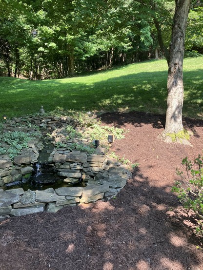 A landscaped area featuring a stone water feature surrounded by greenery. A tree stands nearby on a grassy slope, with a mulch bed in the foreground.