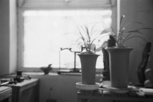 Fujifilm NEOPAN SS (FF)

**English:**
A black and white photograph of an indoor setting. The image features two potted plants placed on a surface near a window. The window allows natural light to illuminate the scene. The room appears to be a study or workspace, with various items on the desk and shelves.

**Chinese:**
一张黑白室内照片。照片中有两盆植物放在靠近窗户的表面上。窗户让自然光照亮了场景。房间看起来像是书房或工作间，桌子和架子上放着各种物品。