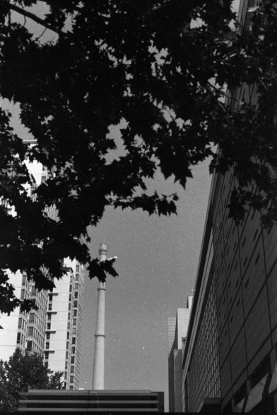 Fujifilm Neopan 100 SS (FF)

**English:**
A black and white photograph capturing an urban scene. The foreground features the branches and leaves of a tree, creating a natural frame. In the background, modern buildings and a tall structure, possibly a chimney or tower, are visible. The contrast between the organic shapes of the tree and the geometric lines of the buildings adds depth to the image.

**Chinese:**
一张黑白照片，捕捉到城市景观。前景是树枝和树叶，形成了一个自然的框架。背景中可见现代建筑和一个高大的结构，可能是烟囱或塔。树木的有机形状与建筑物的几何线条形成鲜明对比，为…
