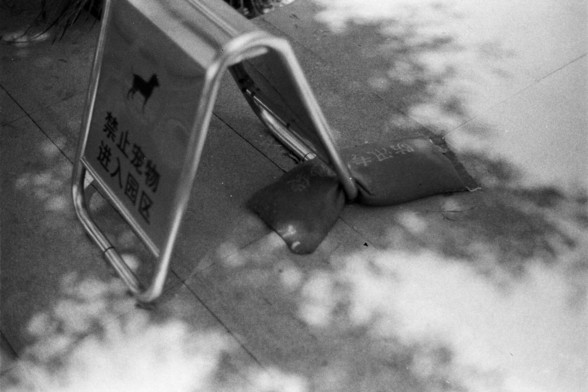 Fujifilm Neopan 100 SS (FF)

---

🇬🇧 English Alt Text:
A black and white photo of a sign featuring a dog icon and Chinese characters stating “No pets allowed in the park area.” The sign is placed on a concrete surface, anchored by a sandbag.

🇨🇳 中文替代文字：
一张黑白照片，展示一个标志，上面有狗的图标和中文文字“禁止宠物进入园区”。标志放在混凝土地面上，底部有一个沙袋固定。

---
