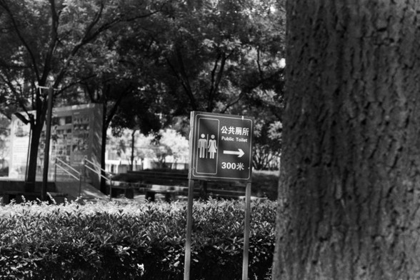 Fujifilm Neopan 100 SS (FF)

---

🇬🇧 English Alt Text:
A sign in a park area displaying directions to a public toilet. The sign features both Chinese and English text: “公共厕所” and “Public Toilet.” An arrow points to the right, indicating the toilet is 300 meters away. Trees and greenery surround the sign, suggesting a calm and natural setting.

🇨🇳 中文替代文字：
公园区域内的一个指示牌，指向公共厕所。标志上有中文“公共厕所”和英文“Public Toilet”，箭头指向右侧，显示距离为300米。背景是树木和绿色植物，营造出宁静的自然氛围。

---