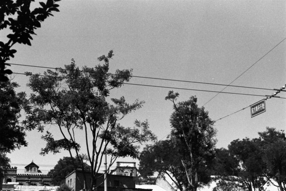 Fujifilm Neopan 100 SS (FF)

**English:**
A black and white photograph capturing a serene outdoor scene. The image features tall trees with lush foliage, partially obscuring the view of buildings in the background. Overhead, several electrical wires stretch across the frame, adding a touch of urbanity to the otherwise natural setting. A street sign with Chinese characters is visible on the right side of the image, indicating the location might be in a Chinese-speaking region.

**Chinese:**
一张黑白…