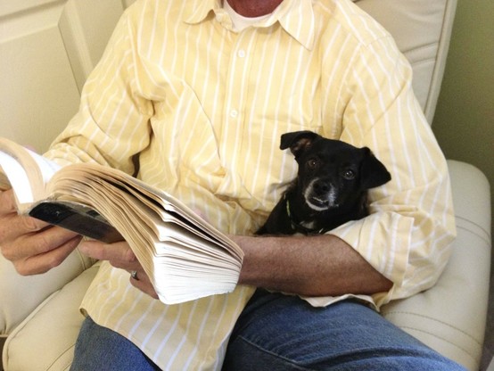 iPhone photo of Mr. Boots wearing a yellow striped shirt, he’s seated in a white leather chair reading a book to a small black Chiweenie in his lap. She is contented and relaxed and happy.