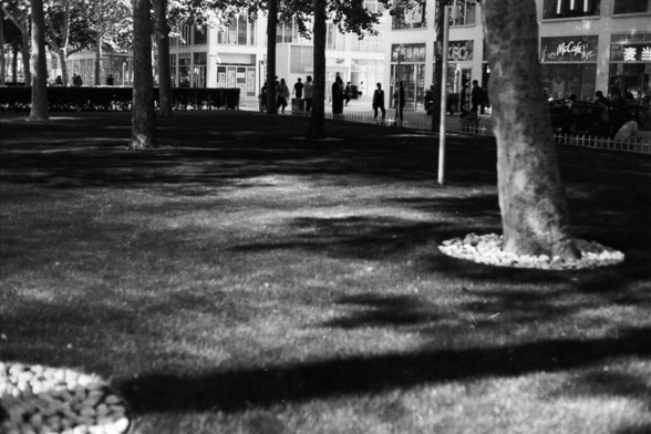 Fujifilm Neopan 100 SS (FF)

**English:**
A black and white photograph of a park scene with several trees and a few people in the background. The trees are surrounded by small white stones at their base. The park appears calm and serene, with people leisurely walking or sitting in the background.

**Chinese:**
一张黑白照片，展示了一个公园场景，有几棵树和一些在背景中的人。树木的底部周围环绕着小白石子。公园看起来宁静祥和，人们在背景中悠闲地散步或坐着。