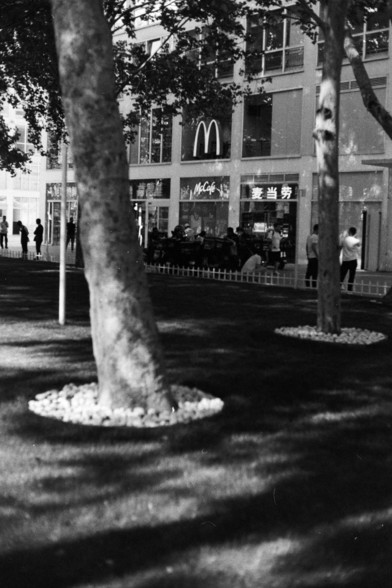 Fujifilm Neopan 100 SS (FF)

**English:**
A black and white photograph of a park area with trees and a McDonald's restaurant in the background. The trees have white stones around their bases. People are seen walking and sitting in the park, creating a lively yet peaceful atmosphere.

**Chinese:**
一张黑白照片，展示了一个公园区域，背景中有树木和一家麦当劳餐厅。树木的底部周围环绕着白色石子。人们在公园中散步和休息，营造出一种既热闹又宁静的氛围。
