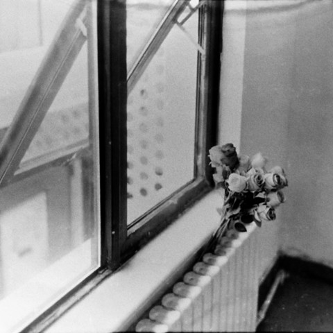 **English Alt Text:**
"A black and white photograph capturing a serene indoor scene. The image shows a bouquet of roses placed on a windowsill. The roses are partially wilted, adding a touch of melancholy to the scene. The window is framed with a metal structure, and the glass panes show signs of weathering with visible dirt or raindrops. The light coming through the window casts soft shadows, creating a calm and reflective atmosphere."

**Chinese Alt Text:**
"一张黑白照片，捕捉了一个宁静的室内场景。图片展示了一束放在窗台上的玫…