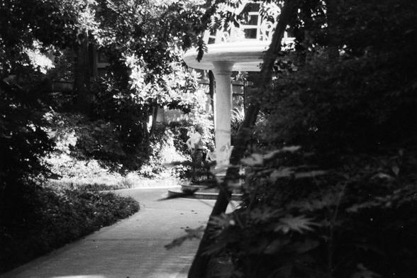 Foma FOMAPAN 400 Action (FF)

🌿 English alt text:
A black and white photograph of a garden path lined with lush, overgrown foliage. In the distance, a white column supports a small structure, possibly a gazebo. Two people stand nearby, partially hidden by the plants, evoking a sense of quiet retreat.

🌿 中文替代文字：
一张黑白照片，展示了一条被茂密植物包围的花园小径。远处有一根白色柱子支撑着一个可能是凉亭的结构，两个人站在旁边，被植物部分遮挡，营造出宁静隐逸的氛围。
