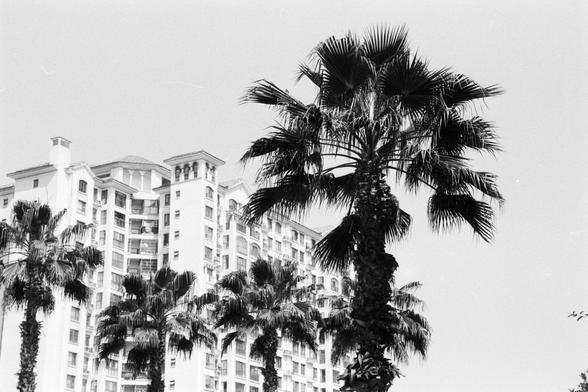 Foma FOMAPAN 400 Action (FF)

🌴 English alt text:
A black and white photograph of a multi-story Mediterranean-style residential building with tiled rooftops and arched windows. In the foreground, several tall palm trees dominate the scene, their fronds reaching upward and adding contrast to the architectural geometry. The image evokes a quiet coastal or resort-town atmosphere, where nature and human design coexist peacefully.

🌴 中文替代文字：
一张黑白照片，画面中心是一栋多层的地中海风格住宅建筑，屋顶铺设瓷砖，窗户呈弧形。前景中有几棵高大的棕榈树，树叶向上伸…