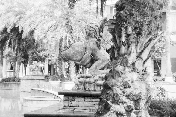 Foma FOMAPAN 400 Action (FF)

🇬🇧 English Alt Text:
A detailed statue of a winged figure, possibly an angel or cherub, holding a large fish. The sculpture is placed beside a reflective body of water surrounded by lush palm trees and greenery in a landscaped outdoor setting, evoking a serene and slightly whimsical garden ambiance.

🇨🇳 中文替代文本：
一座精致的雕像，呈现一位拥有翅膀的人物，可能是天使或小天使，怀中抱着一条大鱼。雕像立于水池旁，周围环绕着茂密的棕榈树和绿植，整个户外环境如同花园般宁静而梦幻。