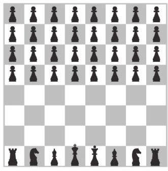 Chess board with one row at the bottom containing the rooks, the knights, the bishops, and the king and queen pieces. The top four rows are filled with pawns. No idea whose original idea it is, probably it’s quite old. Image search shows several versions in all the usual places, some of which are captioned, “Revolucion”.