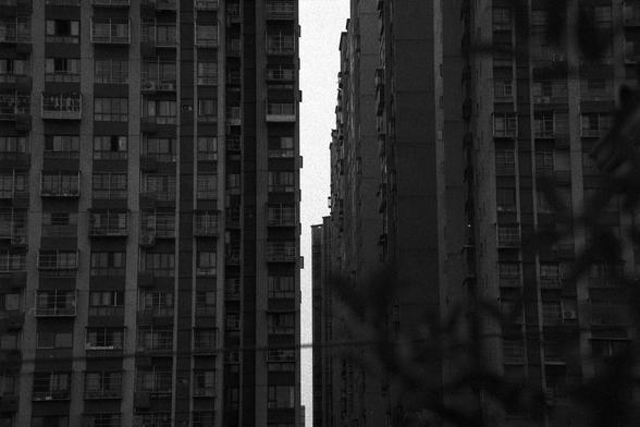 Ilford FP4 Plus 125 (FF)

🇬🇧 English Alt Text

A dramatic black-and-white photo of two high-rise residential buildings with dense windows and balconies. They stand closely side by side, forming a narrow alley of sky between them. The stark contrast and vertical lines create a moody, symmetrical composition filled with urban intensity.

🇨🇳 中文替代文本

一张黑白照片，描绘了两栋高层住宅楼，楼面密布窗户和阳台。两楼之间间距狭窄，仅留下一道狭小的天空缝隙。强烈的明暗对比与垂直线条营造出一种都市压迫感与冷峻美。