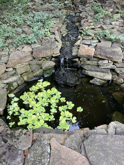 A small pond surrounded by natural stone, featuring a gentle waterfall and green aquatic plants. The area is partially shaded by surrounding greenery.