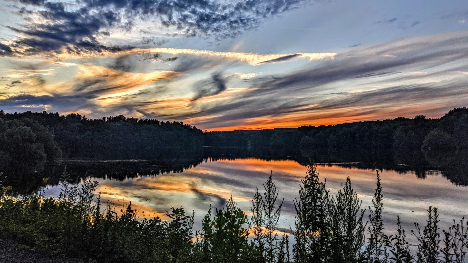 Standing near a lake looking out over the top of a strip of leafy plants along the near shoreline. The far shore is covered with a mature forest of stately trees. The sky is a soft blue gray with long twisting tendrils of thin gray clouds. The setting sun is tinting the sky along the horizon an orange pastel and the edges of some of the clouds pale yellow and gold. This is mirrored on the lightly rippled waters of the lake below. Standing near a lake looking out over the top of a strip of leafy plants along the near shoreline. The far shore is covered with a mature forest of stately trees. The sky is a soft blue gray with long twisting tendrils of thin gray clouds. The setting sun is tinting the sky along the horizon an orange pastel and the edges of some of the clouds pale yellow and gold. This is mirrored on the lightly rippled waters of the lake below.