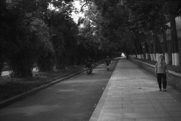 Ilford FP4 Plus 125 (FF)

🌳 English Alt Text

A black and white photograph showing a tranquil, tree-lined path. On the left, two people ride bicycles along a paved road. On the right, a single pedestrian walks along a separate walkway. Tall trees and dense foliage frame both sides, casting shade over the scene.

🌲 中文替代文字

这是一张黑白照片，展现了一个宁静的林荫小道。左侧的道路上有两个人骑自行车，右侧的人行道上有一个人步行。高大的树木和茂密的植物环绕着道路，为整个场景增添了阴凉与宁静的氛围。