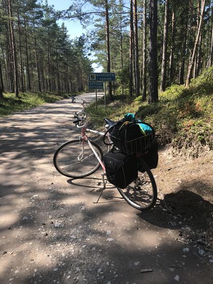 En cykel med packning för långfärd på en skogsväg i nordvästra Estland