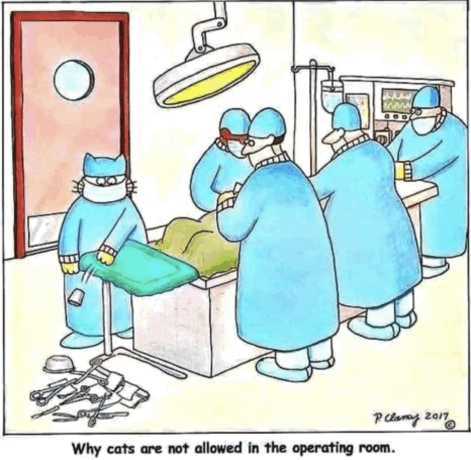 Single panel comic.
In an operating theater, medical persons in surgical gowns surround a table with a patient on it. At one end a cat in a surgical gown has just swept a bunch of objects off a table to the floor. 
Caption: Why cats are not allowed in the operating room.