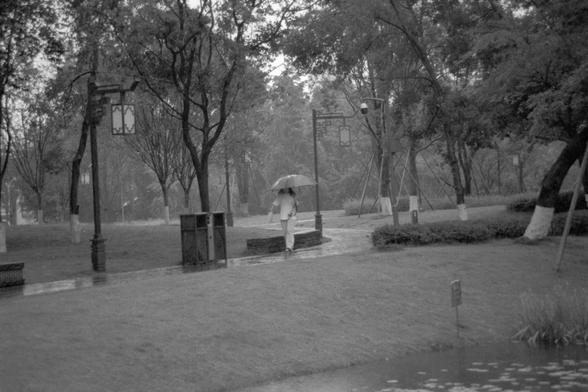 Ilford Pan 400 (FF)

**English:**
A black and white photograph of a person walking in a park on a rainy day. The individual is holding an umbrella and is seen from behind, walking along a path lined with trees and lampposts. The scene evokes a sense of tranquility and solitude.

**Chinese:**
一张黑白照片，展示了一个人在雨天的公园里散步。这个人打着伞，从背后看去，沿着一条两旁种满树木和路灯的小路行走。场景中透出一种宁静与孤独的感觉。