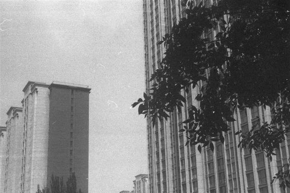 Ilford FP4 Plus 125 (FF)

**English:**
A black and white photograph showing a cityscape with tall buildings. The buildings are modern and have a repetitive architectural design with vertical lines. In the foreground, there are branches of a tree, adding a natural element to the urban scene. The sky is clear, and the overall atmosphere is calm.

**Chinese:**
一张黑白照片，展示了一个有高楼大厦的城市景观。这些建筑现代化，具有重复的建筑设计和垂直线条。前景是一棵树的树枝，为城市景观增添了自然元素。天空晴朗，整体氛围宁静。