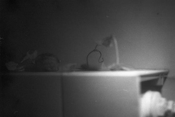 Ilford FP4 Plus 125 (FF)
---

🌫️ Image 4: Blurry Tabletop Scene

• English alt text: A black-and-white blurry photograph of a tabletop with indistinct objects. One object resembles a plant or flower with a curved stem. The dim lighting and plain background create a moody, atmospheric effect.
• 中文替代文字：一张黑白模糊照片，展示桌面上的一些不清晰物品。其中一个物体似乎是带弯曲茎的植物或花朵。昏暗的光线和简洁的背景营造出一种朦胧氛围。


---